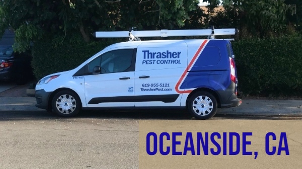 Pest Control Service in Oceanside, CA - Thrasher Pest Control